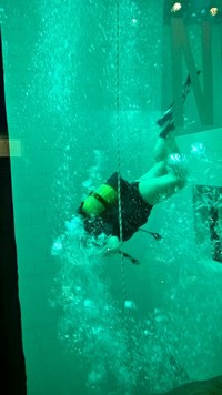 wp_20160320_13_21_50_pro.jpg